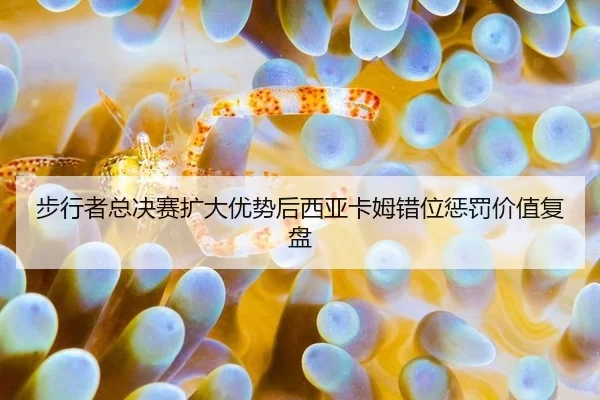 bu-xing-zhe-zong-jue-sai-kuo-da-you-shi-hou-xi-ya-ka-mu-cuo-wei-cheng-fa-jia-zhi-fu-pan-2-967.jpg
